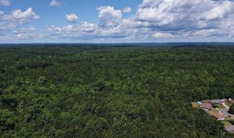 TBD Pine Street, Arkadelphia, AR 71923