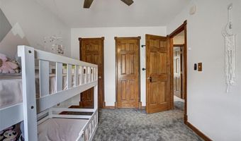 261 COUNTY ROAD 6, Alma, CO 80420