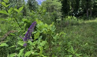 TBD Paint Fork Rd, Barnardsville, NC 28709