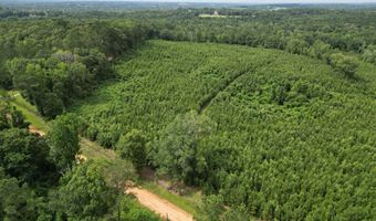 590 County Road 204, Ariton, AL 36311