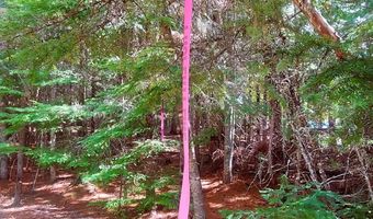 NKA Wandering Wolf Ridge Lot 3, Clark Fork, ID 83811