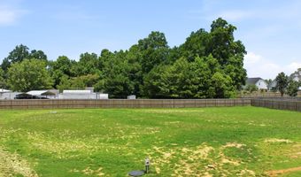 118 W Sand Luggs Ct, Angier, NC 27501