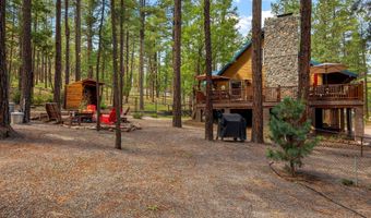 2 County Road 2081, Alpine, AZ 85920