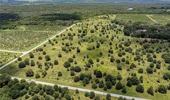 SW HULL AVENUE, Arcadia, FL 34269