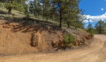 103 Gross Rd, Bailey, CO 80421