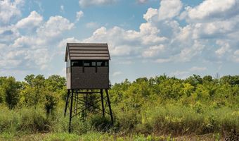 225 CR 3303, De Kalb, TX 75559