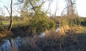 tbd 54.89 Acres N Hwy 53, Arkadelphia, AR 71923