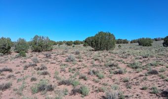 268 N 5380, Concho, AZ 85924