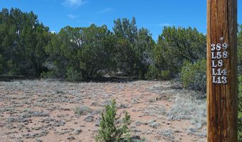 Concho Valley lot 3, Concho, AZ 85924