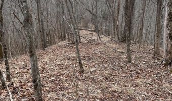 Toole Creek Road, Abingdon, VA 24210