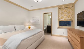 509 W Hopkins Ave, Aspen, CO 81611