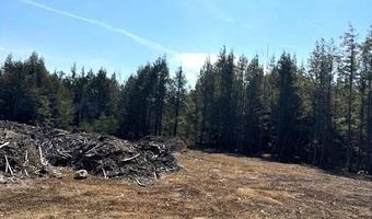Milk Road lot 14, Alfred, ME 04002