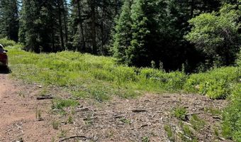 Lot 1 Middle Creek Rd, Beulah, CO 81023