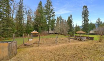 91565 DEARBORN ISLAND Rd, Blue River, OR 97413