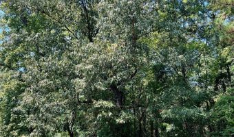 3067 Sr 18, West Point, GA 31833