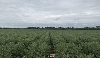3300 Sheppard Island Rd, Altheimer, AR 72004