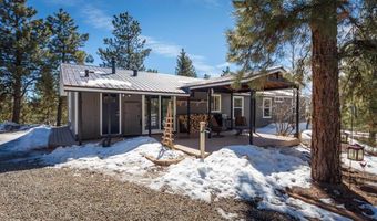463 Chimney Dr, Bayfield, CO 81122