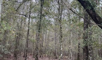 Tract # 6326 N Tri County Road, Graceville, FL 32440