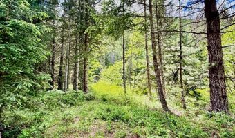 258 Welcome Ln, Bonners Ferry, ID 83805