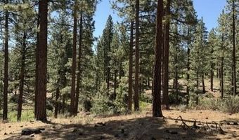 205 Haskell Mill Ct Lot 205, Carson City, NV 89705