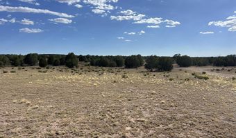 18 C W Warren Rd, Ash Fork, AZ 86320