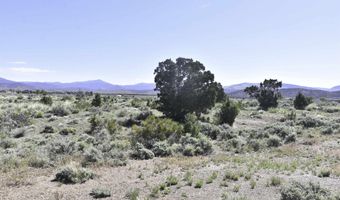Homestead, Gardnerville, NV 89410