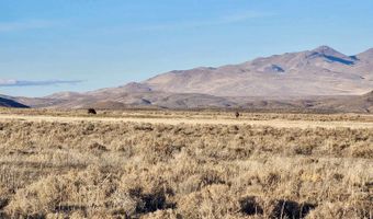 Bird Ranch Road, Crescent Valley, NV 89821