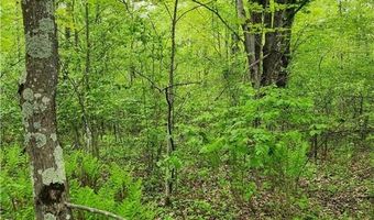 35270 Bear Creek Rd, Askov, MN 55704