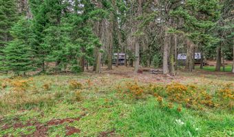 6000 E Hyatt Lake Rd, Ashland, OR 97520