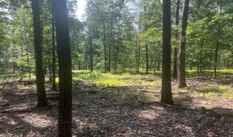 242 Brush Mountain Rd, Altoona, PA 16601