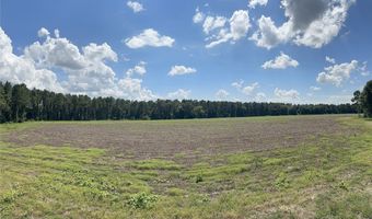 216 County Road 201, Ariton, AL 36010