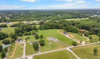 3433 H E Johnson Rd, Alvaton, KY 42122