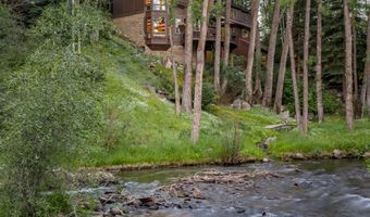 115 Neale Ave, Aspen, CO 81611
