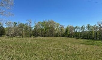 PEAR BLOSSOM Ln lot 10 And 11, Adamsville, TN 38310