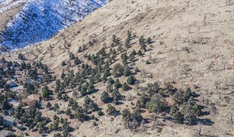 3221 Reese Ln, Gardnerville, NV 89410