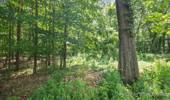 7670 Wood Violet Ct SE, Ada, MI 49301