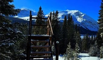 868 NUTHATCH Dr, Alma, CO 80420