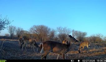 CR 119 lot 0, Alice, TX 78332