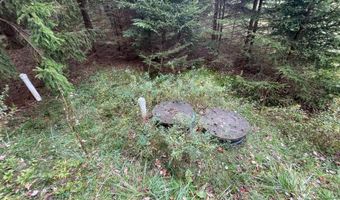 Henning Road, Albrightsville, PA 18210