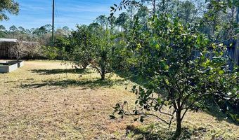 1651 Linden Rd, Apalachicola, FL 32320
