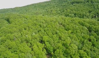 Tbd Brookstone Rd, Bastian, VA 24314