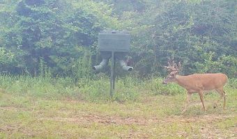 Harry Priddy Road, Americus, GA 31719