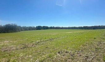 0 Tervin Mill Rd, Andalusia, AL 36421