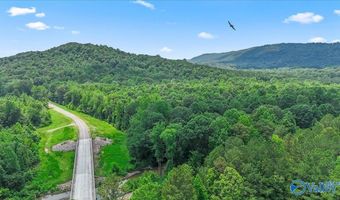 Unit # 0 Murphree Valley Road, Altoona, AL 35952