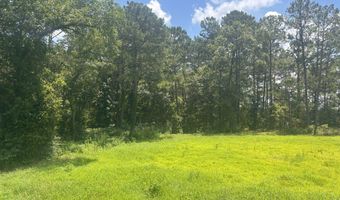 0 CR-215, Ariton, AL 36311