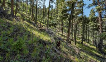 Lot 400 Vail Loop, Angel Fire, NM 87710