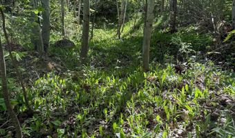 Gratiot River Road lot A, Allouez, MI 49805