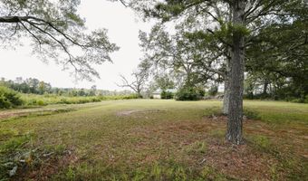 2778 SW Big Creek Dr, Bogue Chitto, MS 39629