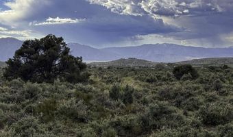 Homestead, Gardnerville, NV 89410