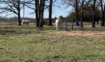 942 N Dade 131, Arcola, MO 65603